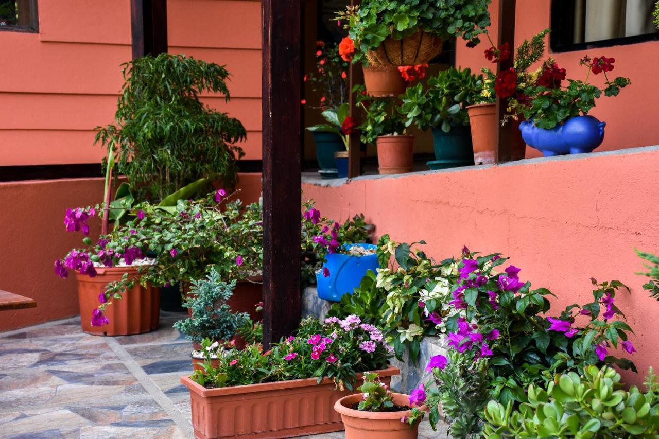 Cabinas Eddy B&B Monteverde Luaran gambar